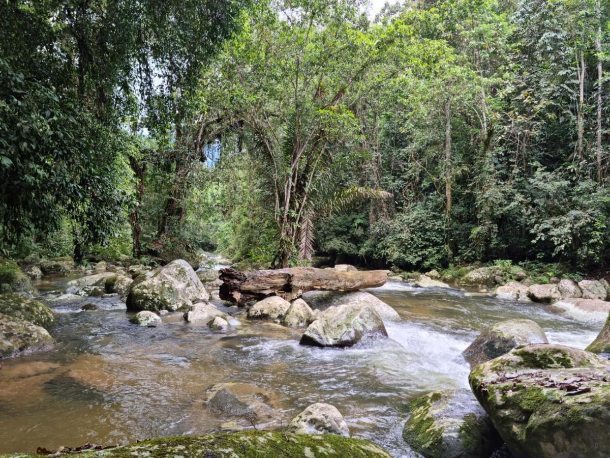 Recanto Da Margo 1, Casa Com Acesso A Cachoeira Araquari Exteriér fotografie
