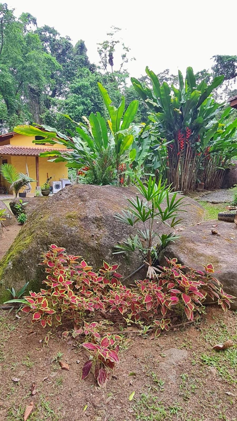 Recanto Da Margo 1, Casa Com Acesso A Cachoeira Araquari Exteriér fotografie