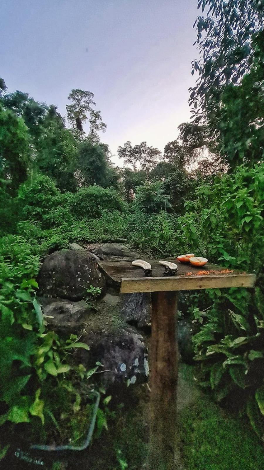 Recanto Da Margo 1, Casa Com Acesso A Cachoeira Araquari Exteriér fotografie