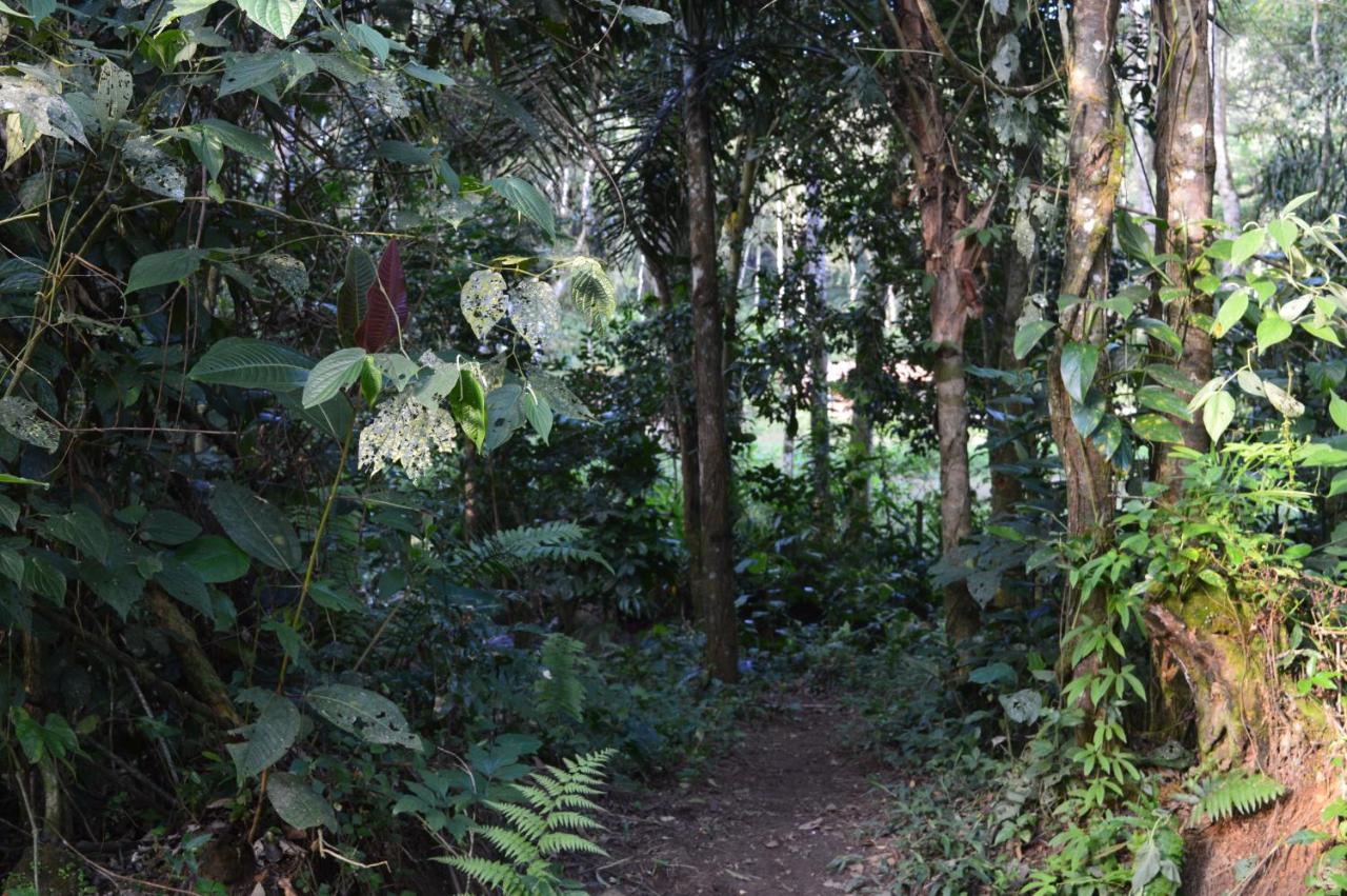 Recanto Da Margo 1, Casa Com Acesso A Cachoeira Araquari Exteriér fotografie