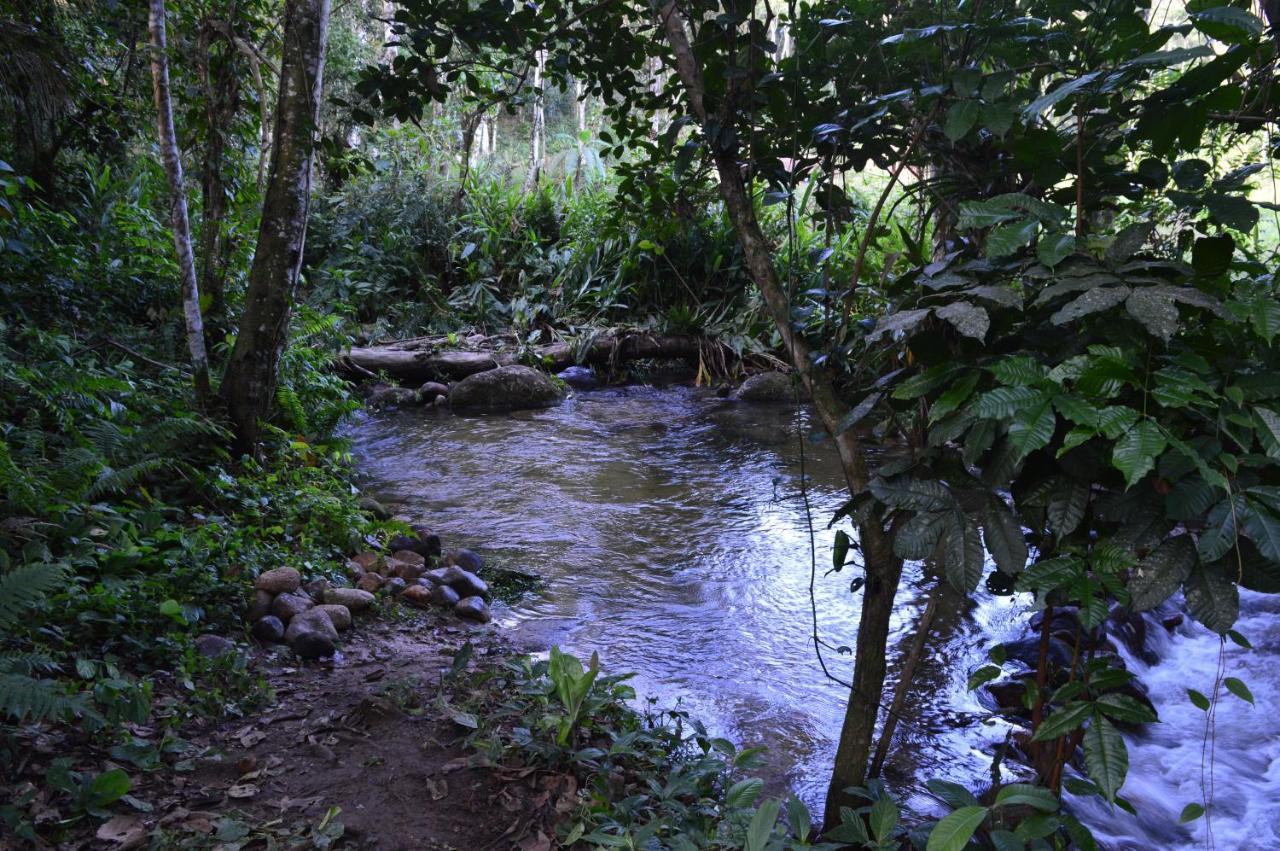 Recanto Da Margo 1, Casa Com Acesso A Cachoeira Araquari Exteriér fotografie